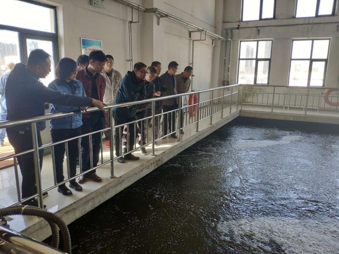 辛辛板污水处理厂4月3日工作日报（在线数据处理与交易处理业务）